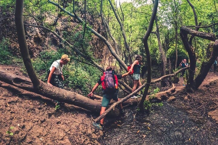 Full Day Rainforest Tour with Tasting and Swimming Time ツ
