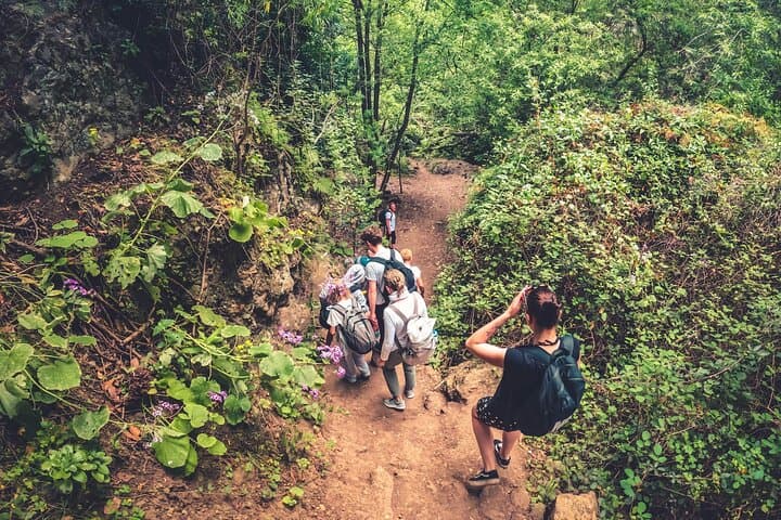 Full Day Rainforest Tour with Tasting and Swimming Time ツ