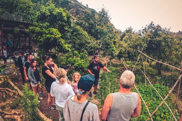 Full Day Rainforest Tour with Tasting and Swimming Time ツ