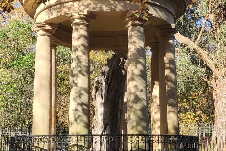 Gernika, Old Tree