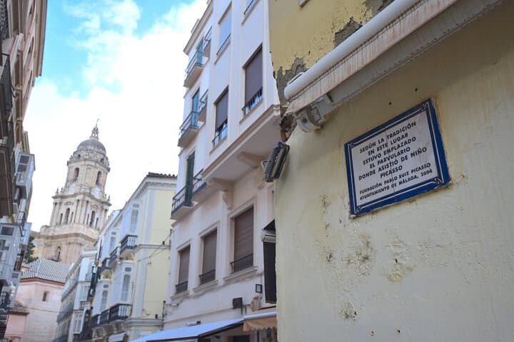Picasso roots Private Walking Tour in Central Malaga