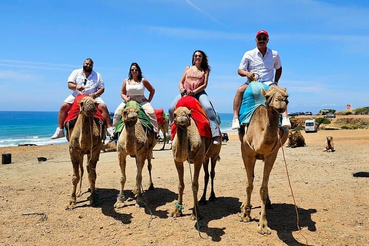 Morocco: Tangier Private Tour from Malaga & Tarifa, All Inclusive