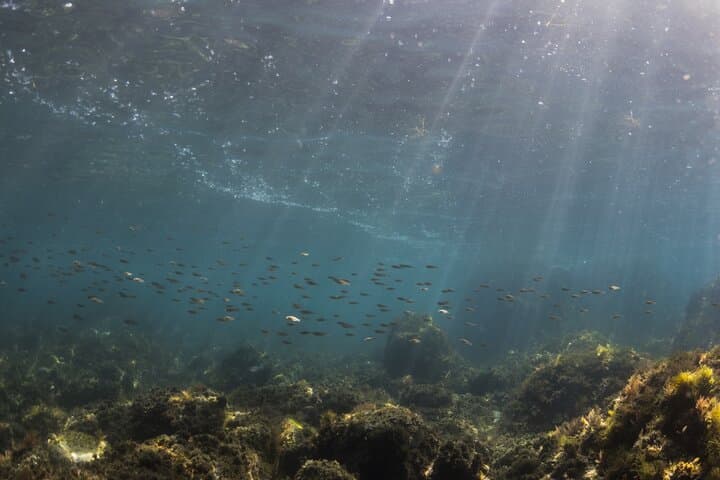 Double Discover Scuba Diving
