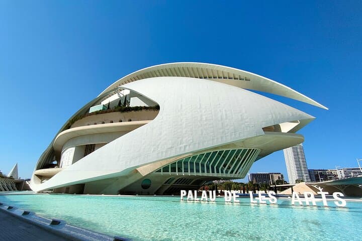 City of Arts and Sciences Bike Tour