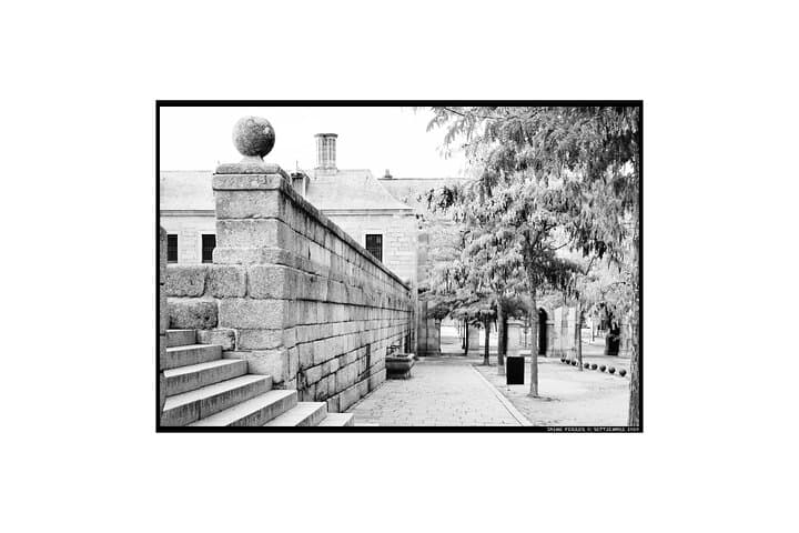 Photographic Experience in Historic San Lorenzo de El Escorial