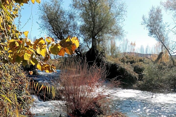 The small waterfall in the property, where you can sit on the terrace and enjoy our local wine with the sound of the gushing falls in the background