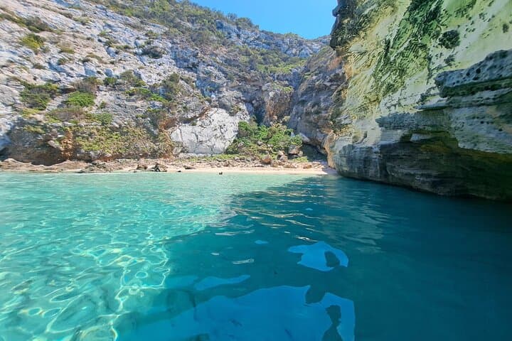 Sail Ibiza Formentera enjoy a swim in paradisiacal coves