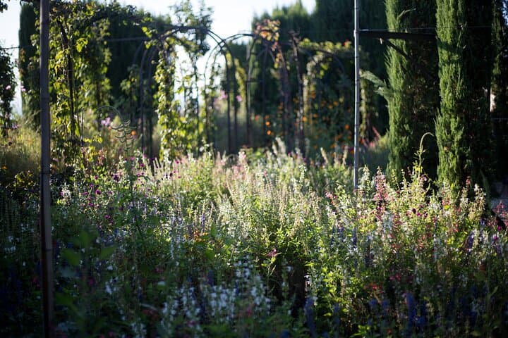 Famous gardens of the Alhambra and Generalife