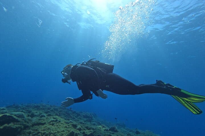 Tenerife Private Scuba Diving – Certified Instructor and Photos