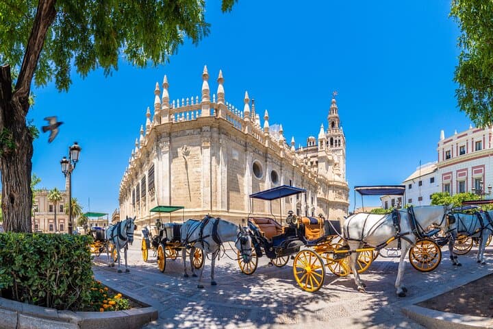 Full Day Private Shore Tour in Seville from Seville Cruise Port