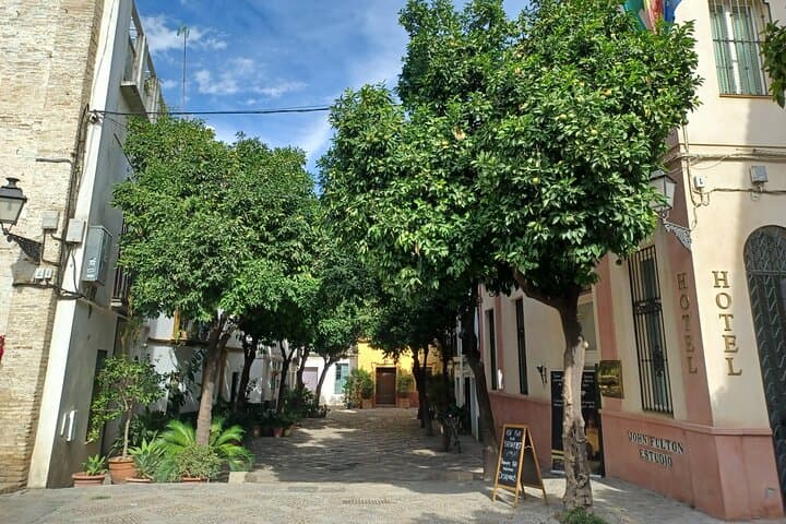 Contrasts of Seville