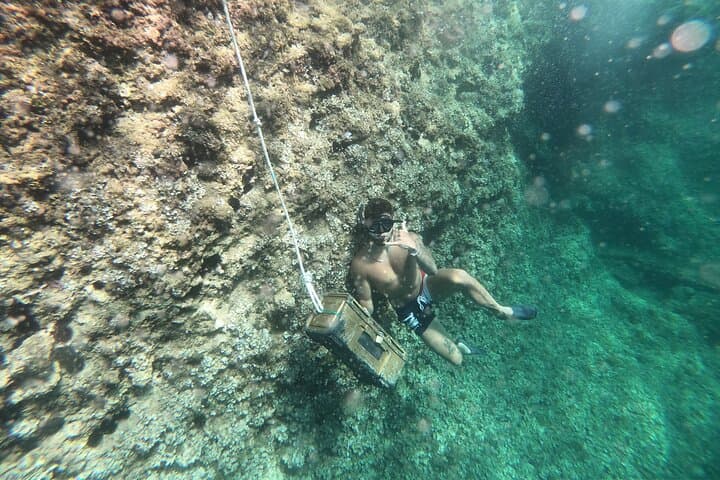 sunken treasure