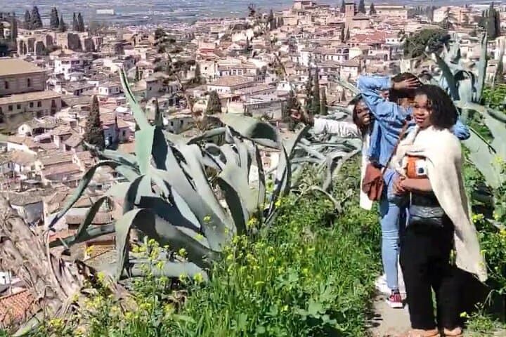 Gypsy life: Sacromonte and the caves private tour