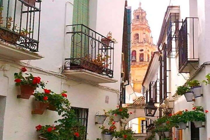 Private Tour of Córdoba from Seville with Tapas Route