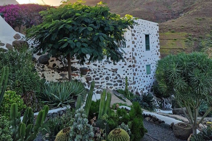 The old canarian farmhouse