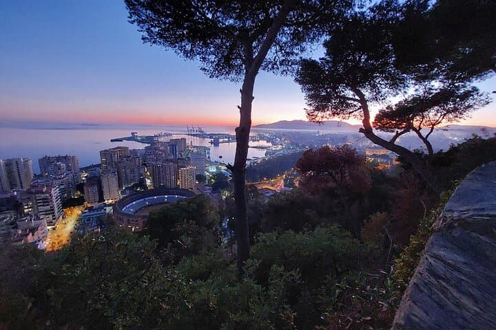 Málaga Sunset & Night Tour by Electric Car