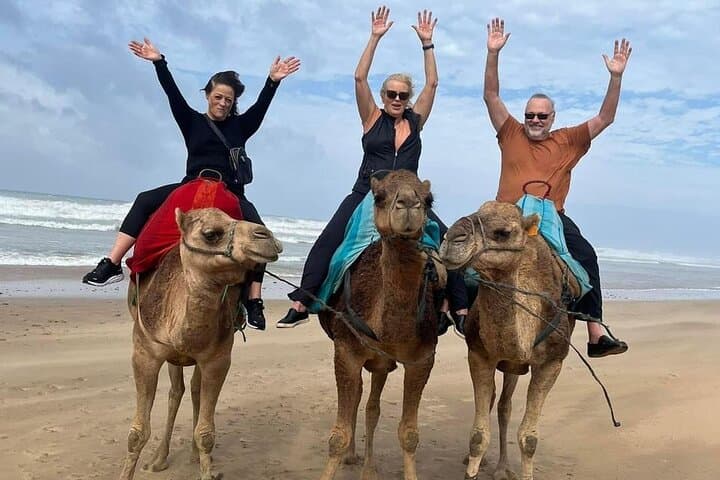 Luxury Tangier Private Day Tour from Malaga All inclusive