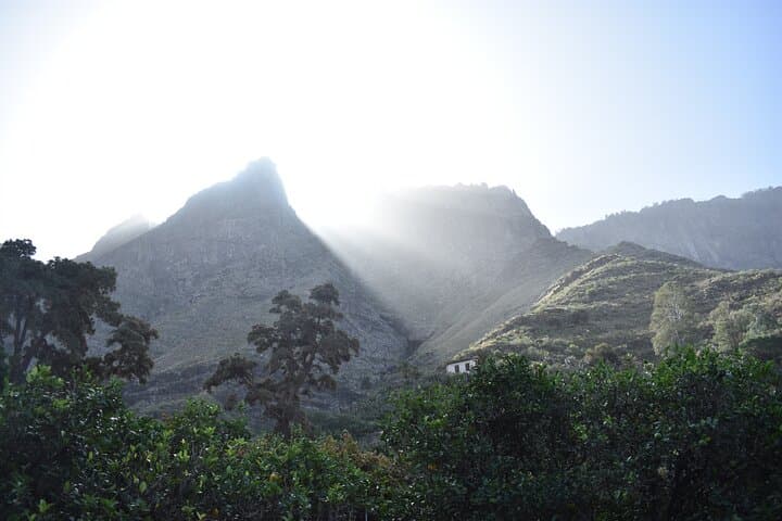 Private Shore Excursion in Gran Canaria