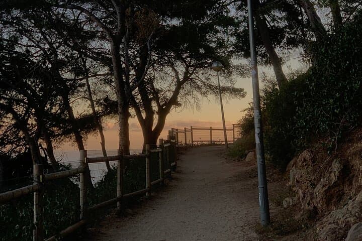 Montjuïc Magic: Hidden Pathways, Vermut Delights & Sunset Bliss