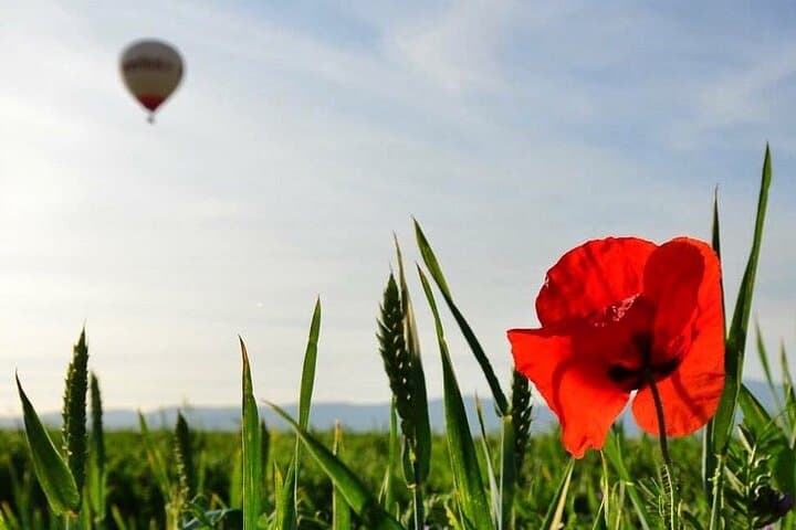 Life is made of moments and you will always remember this one.