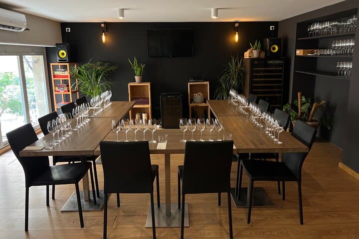 Wine Tasting Experience in Barcelona