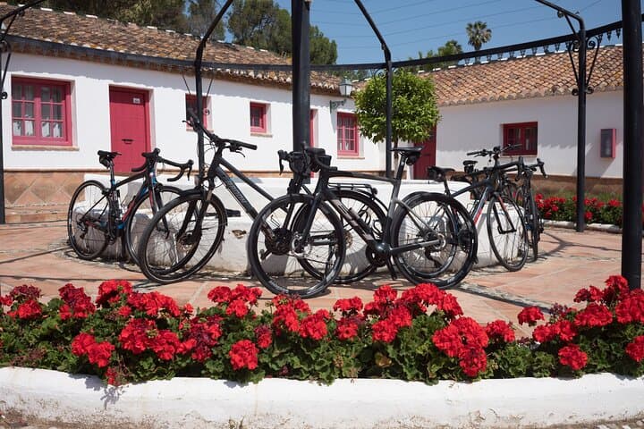 8 Day Guided Cycling and Walking Tour of Andalusia, Spain