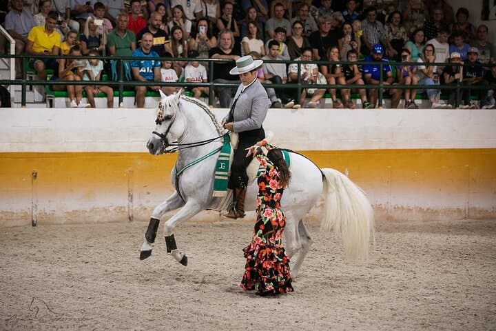 Horse and Flamenco Show in Malaga with Dinner