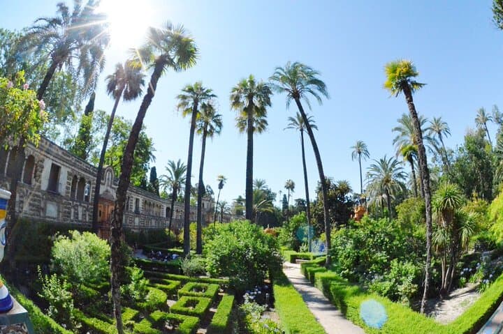 Alcazar, Cathedral and Giralda Guided Tour with Priority Tickets