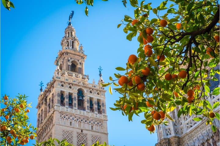 Alcazar, Cathedral and Giralda Guided Tour with Priority Tickets