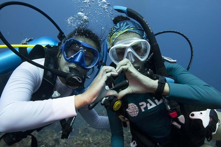 Learn Scuba Diving in Tenerife with Photos Included