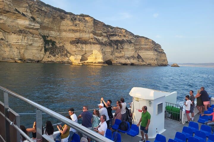 Cetacean Watching Tour