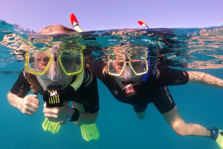 Small Group Snorkeling in Abades Bay with Licensed Guide