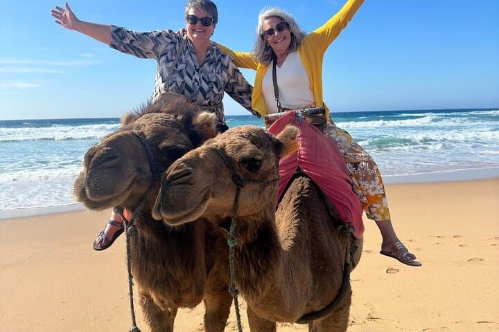 Top VIP Private Tour of Tangier from Estepona All Inclusive
