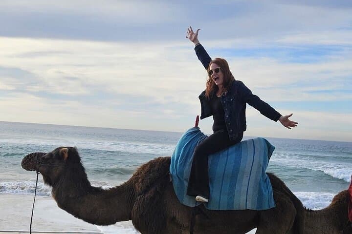 Top VIP Private Tour of Tangier from Estepona All Inclusive