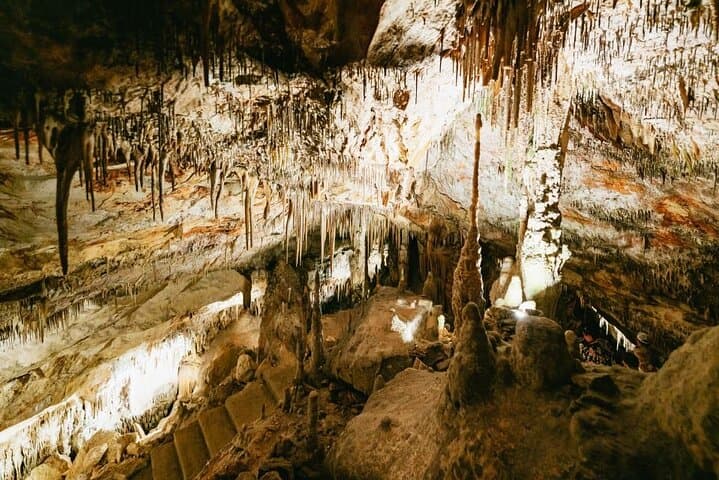 Tour to the Drach Caves from the south of the island