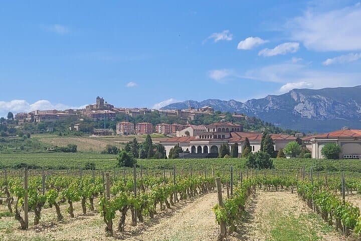 Visit Marques de Riscal & Boutique Winery from Bilbao