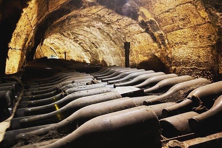 Visit Marques de Riscal & Boutique Winery from Bilbao