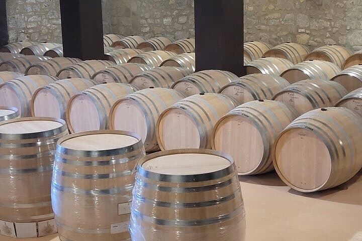 Visit Marques de Riscal & Boutique Winery from Bilbao