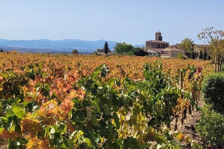 Visit Marques de Riscal & Boutique Winery from Bilbao