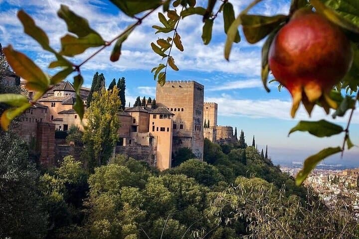 Luxury Private Alhambra & Generalife Tour from Motril port