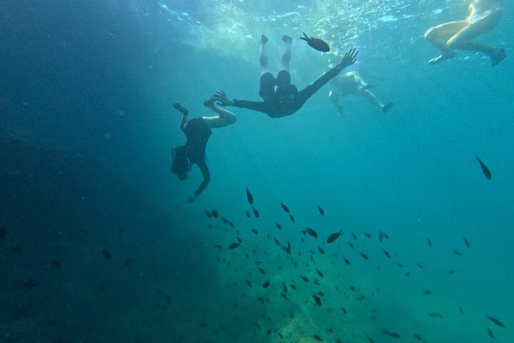 snorkel Mallorca