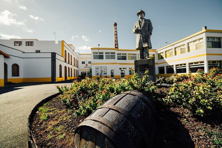 Banana Museum, Rum & Wine / Banana Museum, Rum & Olives: Premium