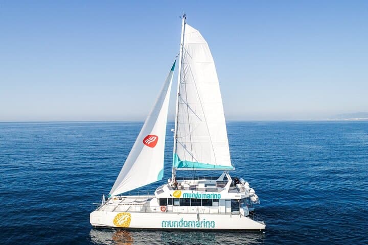 3-Hours Catamaran Tour in Malaga with Paella