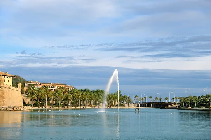 Palma Premium Tour from North Area with guided walk and Cathedral