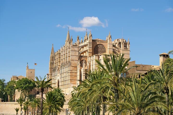 Palma Premium Tour from North Area with guided walk and Cathedral