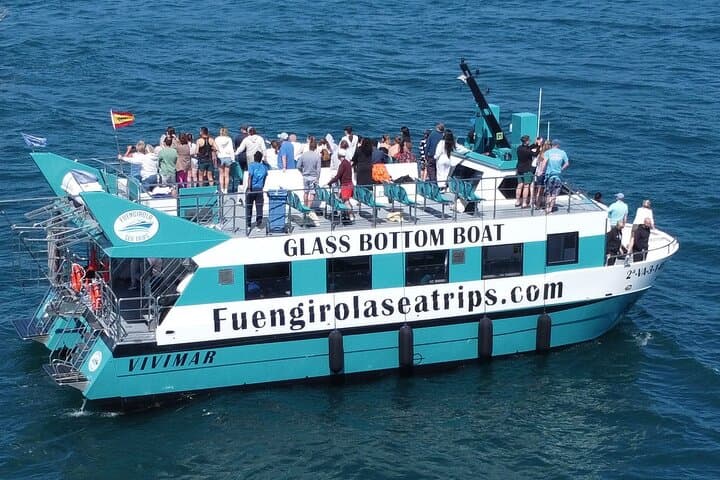 Dolphin watching on a Catamaran in Fuengirola