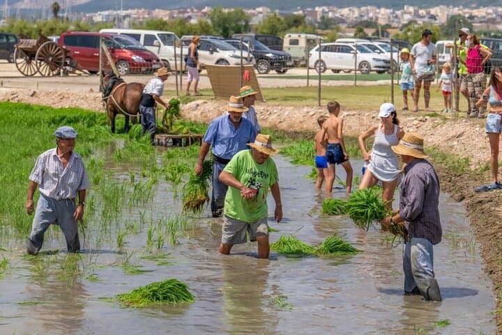 Holistic Immersion in Biosphere Reserve of les Terres de l'Ebre