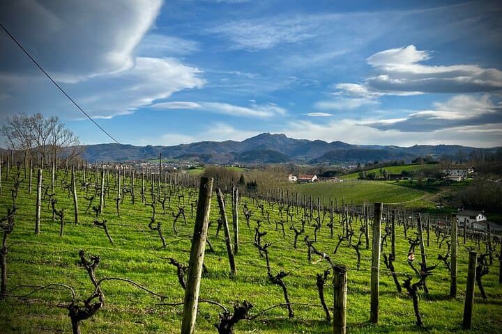 San Sebastián: Transfer to Biarritz