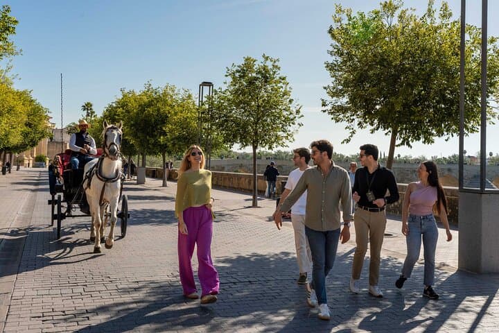 Córdoba Private Day Trip from Madrid by High-Speed Train