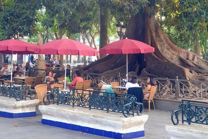 Break time Plaza de Mina